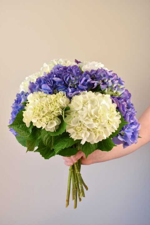 Flower Bouquet Arrangements