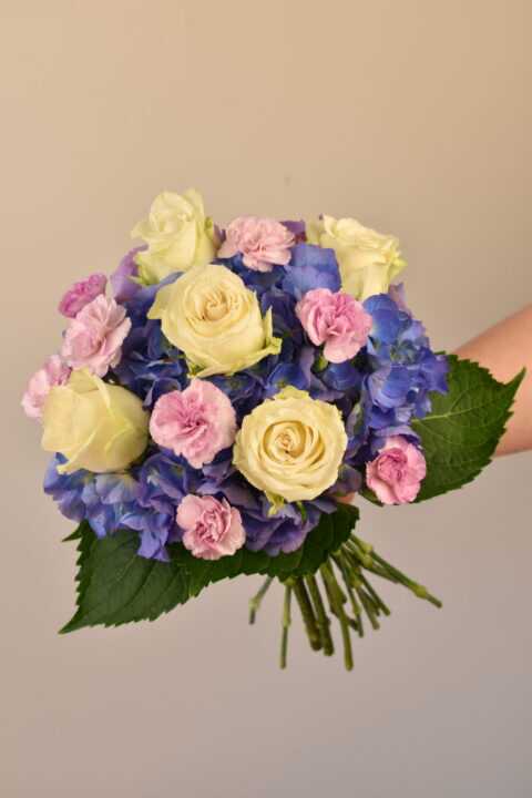 Carnation Pastel Flowers