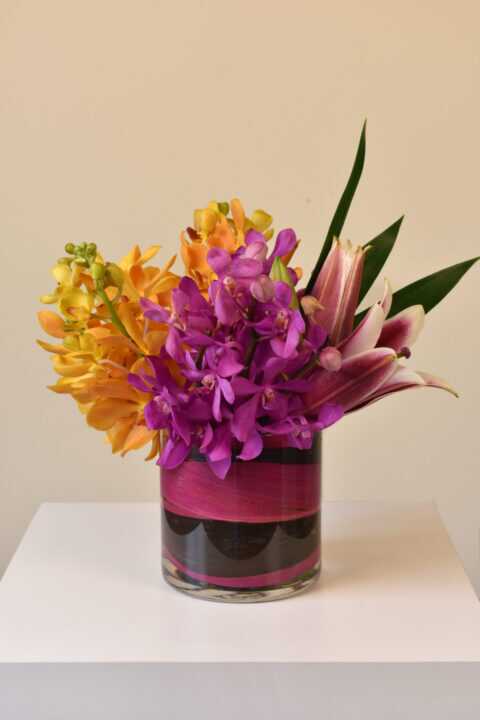 Vanda Orchids